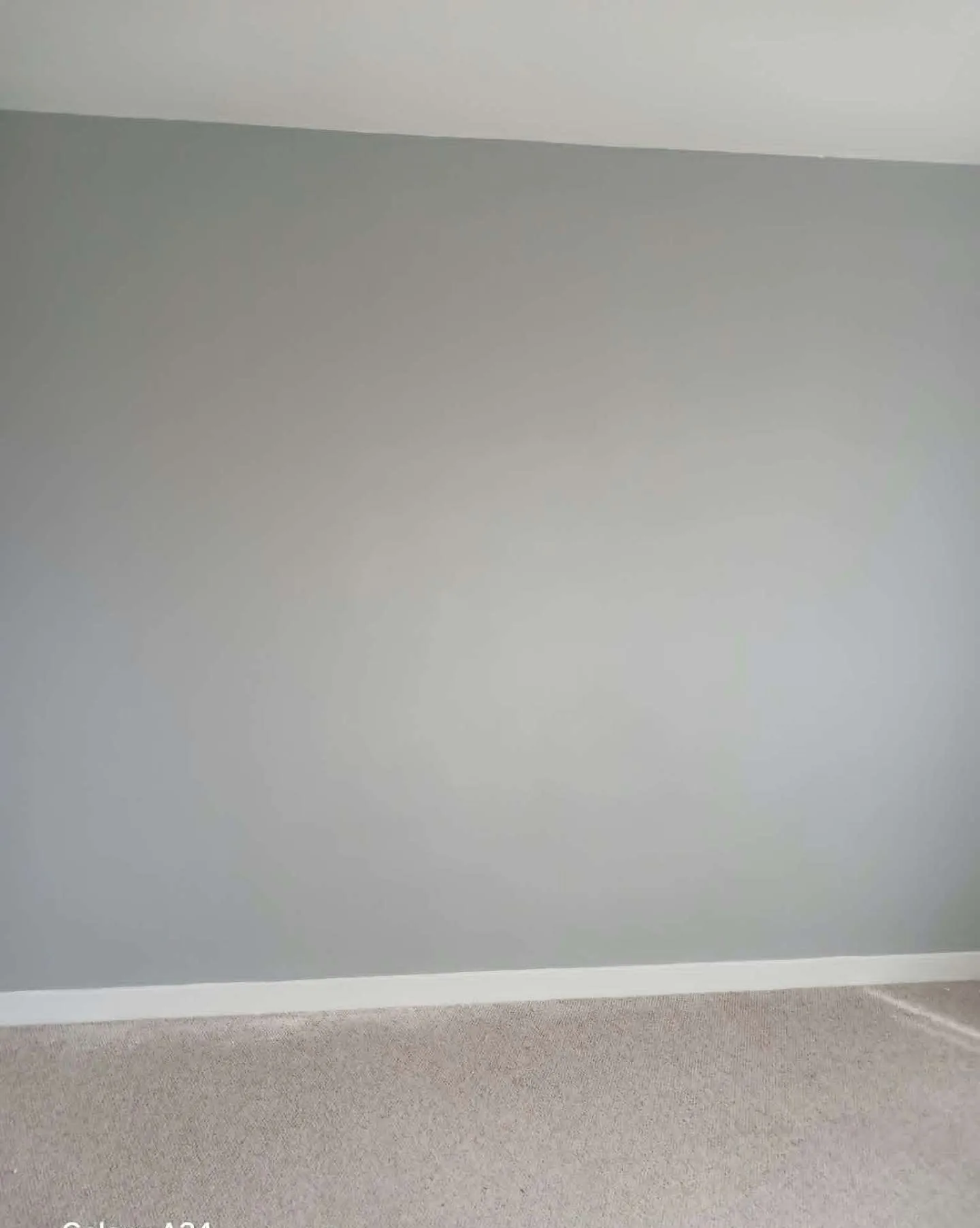 Freshly painted grey walls
